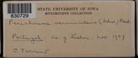 Image Associated With the Occurence